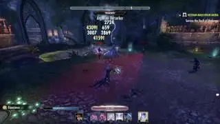 TESO:TU 1T (1.18) NPC's Cancelling Animations