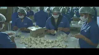 Star Pipes Corporate Video