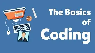 The Basics of Coding