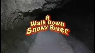walk on line version