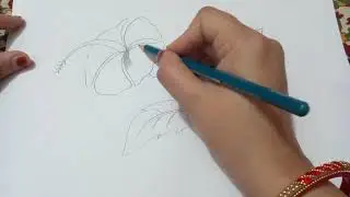 Hibiscus flower with leaf drawing ||gudhal ki dali easy drawing