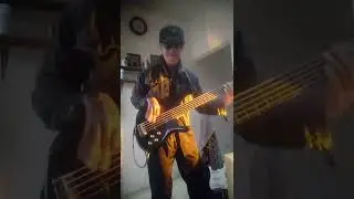 What I am -Edie BricKell cover Bass by EmanD