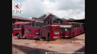 63 3050_KD12_2013_CTB_SLTB_BUS_KIRINDIWELA_2