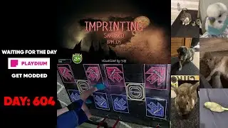 imprinting d24 softpad stage pass