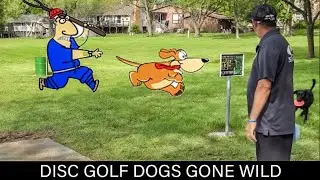 DOGS ON THE DISC GOLF COURSE COMPILATION | DISRUPTIVE, BARKING, RUNNING WILD, GETTING HIT ETC...🐶