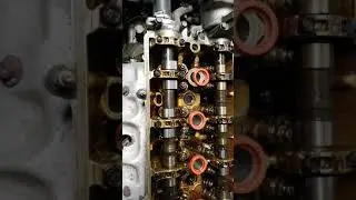 Acura Integra Ls B18b1 cam seal replacement