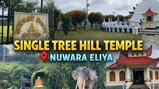 ශ්&zwj;රී ස්වර්ණගිරි විහාරය | Single Tree Hill Temple | Nuwara Eliya