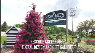 Pesche's Greenhouse Tour