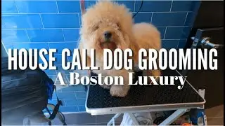 HOUSE CALL DOG GROOMING?? | GIVEAWAY(CLOSED)