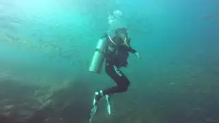 Diving Playa del Coco 2020