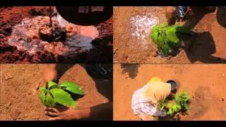 Telanganaku Haritha Haram Advertisement