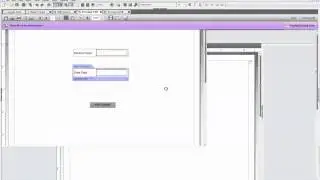 Livecycle Designer - Basic Validation
