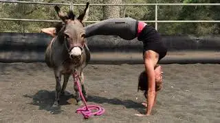 Intro to Horse Yoga