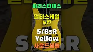 아리스티데스 신모델 베이스 S/B5R 피쉬맨 플루언스 #aristides #aristidesbass #s/b5r