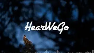RealZona - Miss You