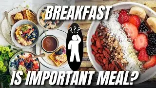 Is Breakfast the Most Important Meal? | Jashan Vij