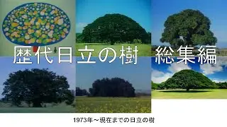 日立の樹　総集編　Hitachi Tree Compilation