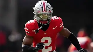 Caleb Downs | 2025 Ohio State Highlights 
