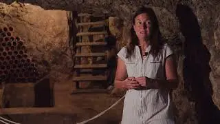 Proyectos con creación de empleo: Ana Pérez Velilla, Bodegas y Viñedos Villarroya, Villarroya.