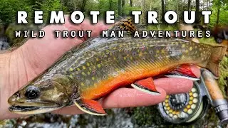 HIKE and FLY FISH for Remote Native Trout - 40 years later