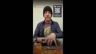 DOLLAR START CD'S