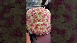 #new #video #букеты #101 Розы #Эквадорские #москва #music #show #music #video #shorts #flowers