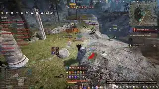 BDO Berserker Succession PvP Montage #5