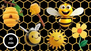 3D Bee Sensory Adventure | Nature Fun for Kids | Fun Dance