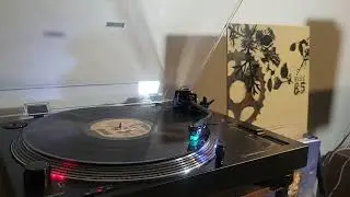 Buck 65 - Talkin' Honky Blues &bull; Side A & B Vinyl Rip
