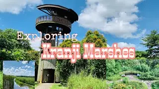 Guide to Kranji Marshes // worth exploring.