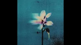 (FREE) Jolagreen23 Type Beat 