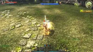 C9 Ranger combo High damage