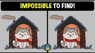 Spot the Difference Puzzles ! (HARD) | IMPOSSIBLE TO FIND!