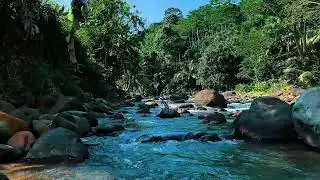 Crystal Blue Jungle River Flow &ndash; Nature Sounds for Deep Sleep, Focus & Anxiety Relief