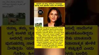 Ramya Controversy Post: ಪುರುಷರ ಬಗ್ಗೆ ರಮ್ಯಾ ಮತ್ತೊಂದು ವಿವಾದಾತ್ಮಕ ಪೋಸ್ಟ್​ ನಾಯಿ ಫೋಟೋ ಹಾಕಿದ ನಟಿ #dog #yt