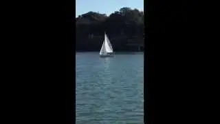 Catalina Capri 14.2