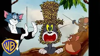 Aktivitäten im Freien! ☀️🌙 | Tom und Jerry auf Deutsch 🇩🇪 | @WBKidsDeutschland
