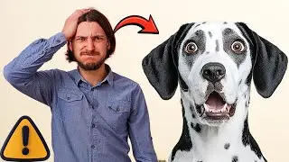 DOENÇA POUCO CONHECIDA MAS QUE MATA MUITOS CÃES - DIABETES