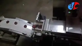 Conveyor Type Chocolate Chip Cookies machine