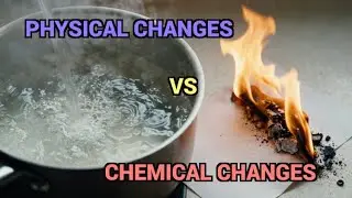 What is the difference between physical changes and chemical changes?   | AskNShare | QnA Series 40