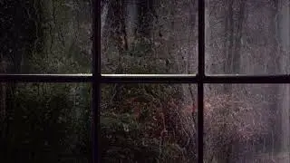 90 Minutes Gentle Rain for Deep Calm & Focus - Soft Ambient Sounds (No Thunder)