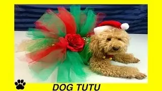 How to make CHRISTMAS DOG TUTU SKIRT- XMAS FESTIVE DRESS - DIY Dog Craft by Cooking For Do