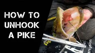 Pike Fishing Tips - How To Unhook A Pike