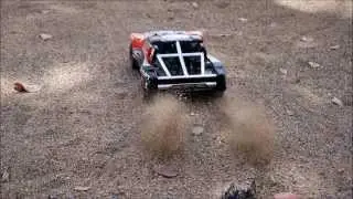 Losi Mini SCT 1/16 scale R/C short course truck