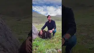 Take a break and escape into the nature #discoverpakistan #skardu #gilgitbaltistan #hunzavalley