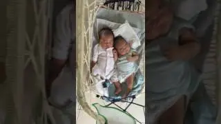 Twin babies sleeping in one baby cradle at 1 month