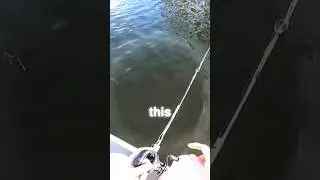 Что здесь произошло?! 🤔🤔