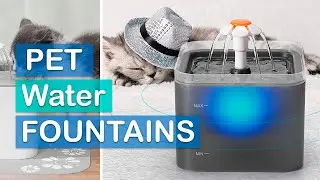 Best Pet Water Fountains 2023 ✅