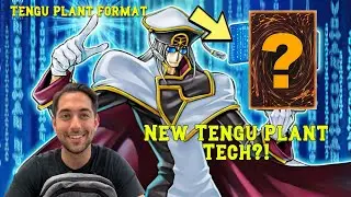 Top 5 Tengu Plant Deck Profile! | Tengu Plant Format