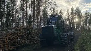 John Deere 1510G Loading birch Wood in thinning